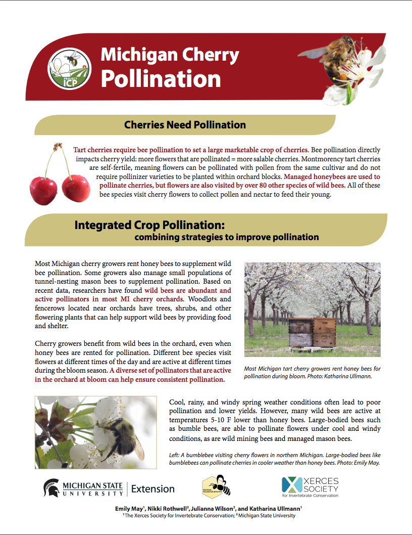PDF cover of MI Cherry Pollination